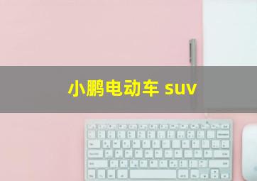 小鹏电动车 suv